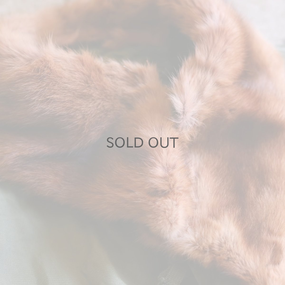 画像5: 【Wiz&Witch】DIRTY BEAUTIFUL "MODS COAT" (5)