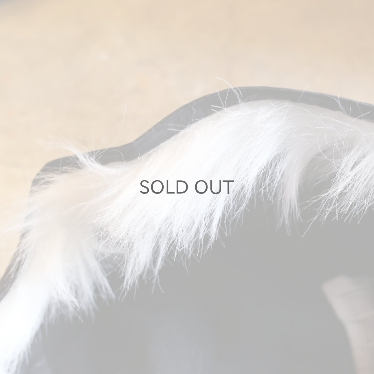 画像9: 【Wiz&Witch】"WEIRD MODS COAT" (9)