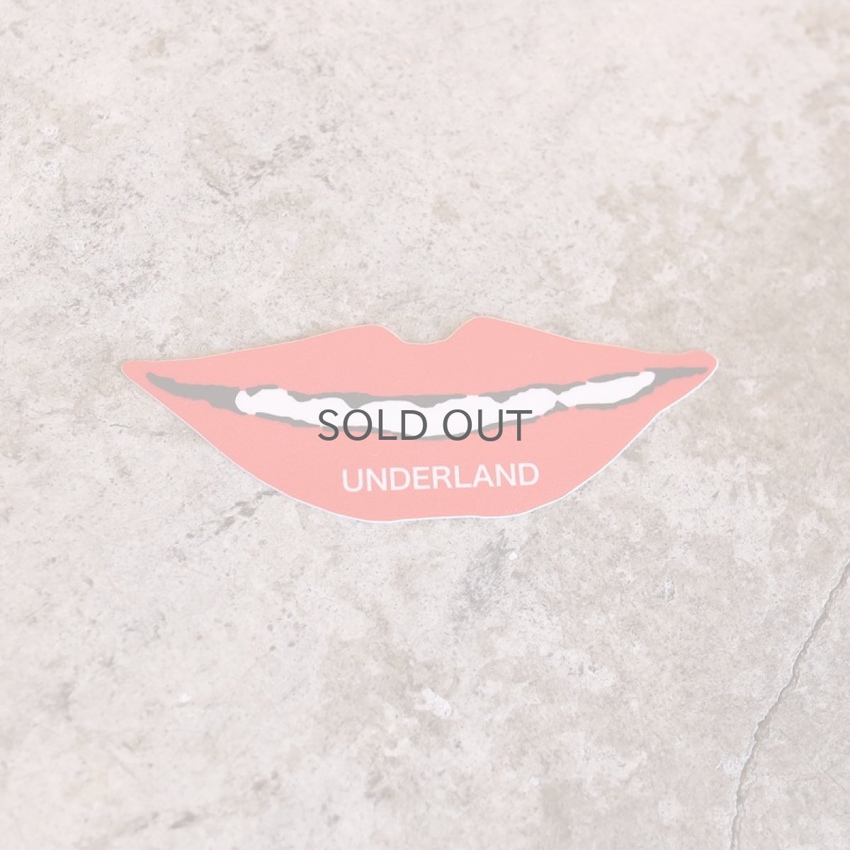 画像6: 数量限定!! UNDERLAND ANNIVERSARY BAG SET (6)