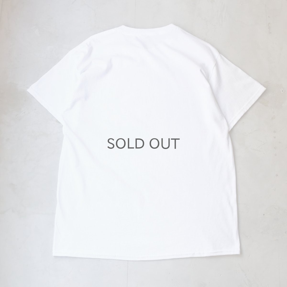 画像2: 【JESUS AND JOHN】GARDEN T-SHIRTS / RED (2)