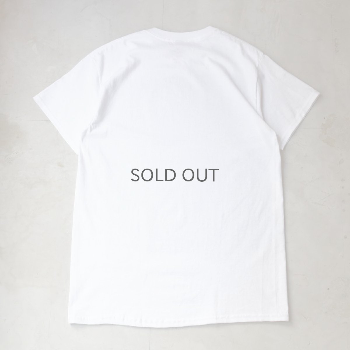 画像2: 【JESUS AND JOHN】GARDEN T-SHIRTS / BLUE (2)