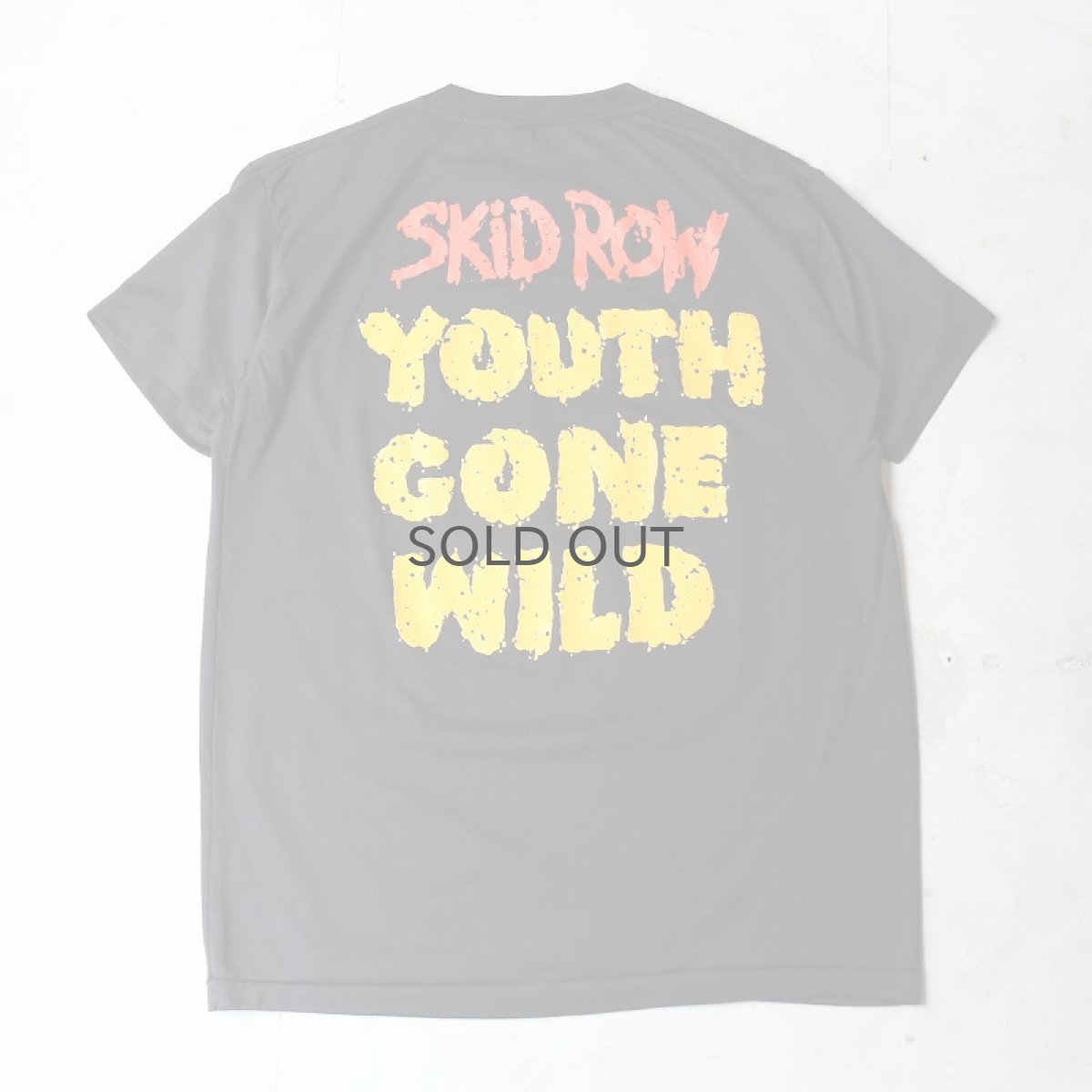 画像2: OLD SKID ROW "YOUTH GONE WILD" TEE / Mens L (2)