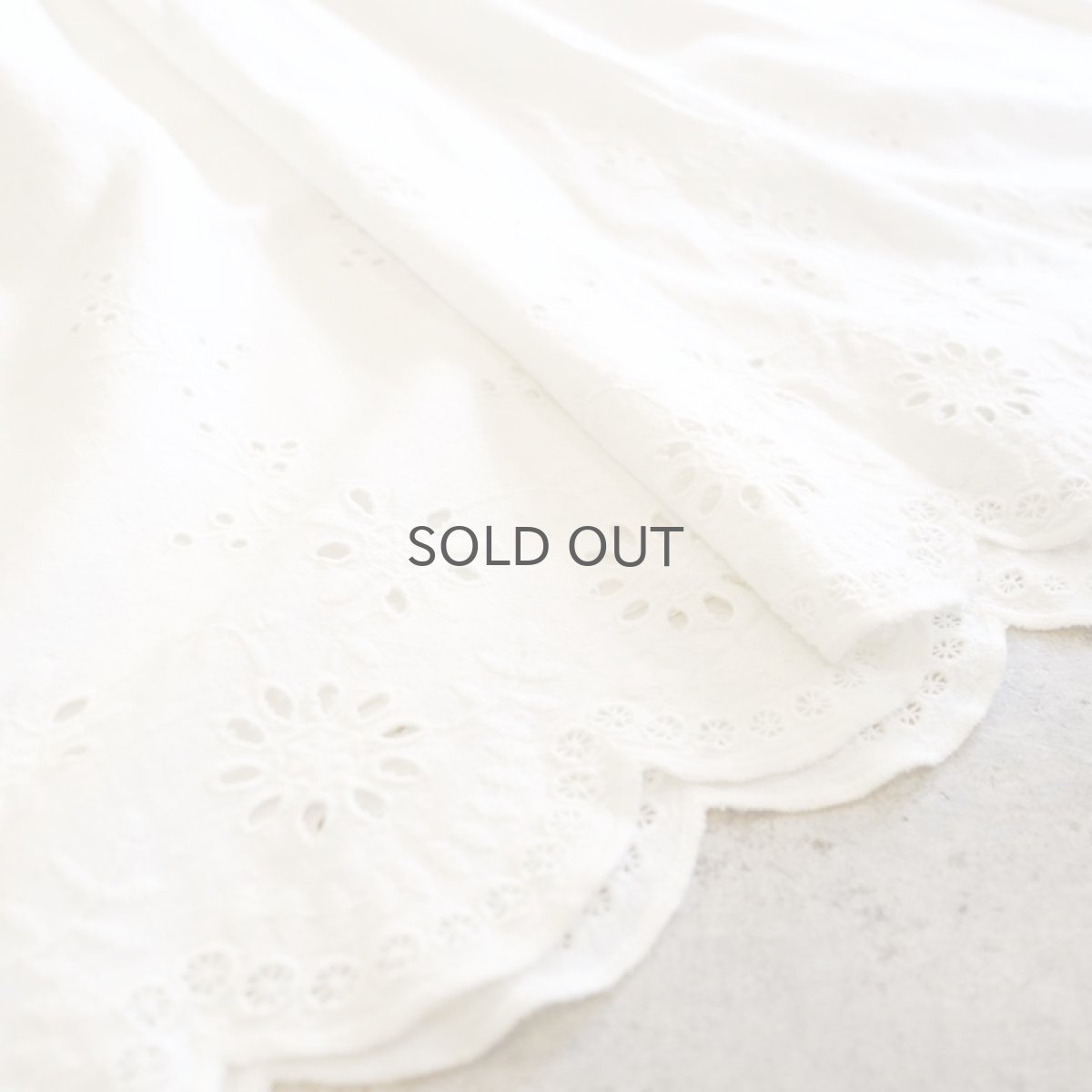 画像5: EMBROIDERY LACE ONE-PIECE / Ladies M (5)