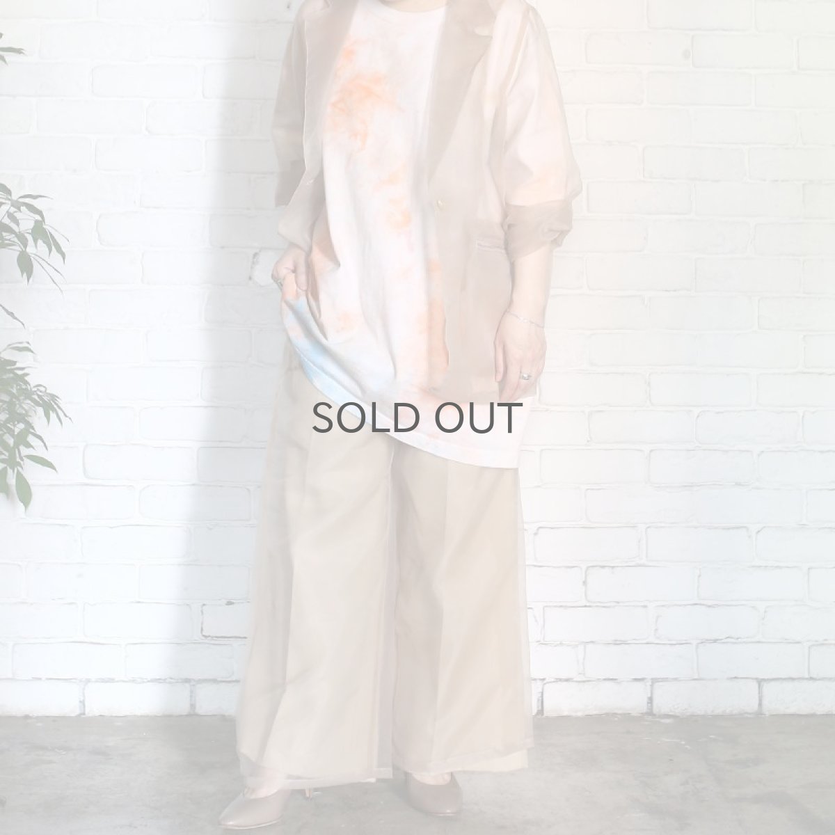 画像7: 【Wiz&Witch】SHEER SET-UP / PANTS / BEIGE (7)