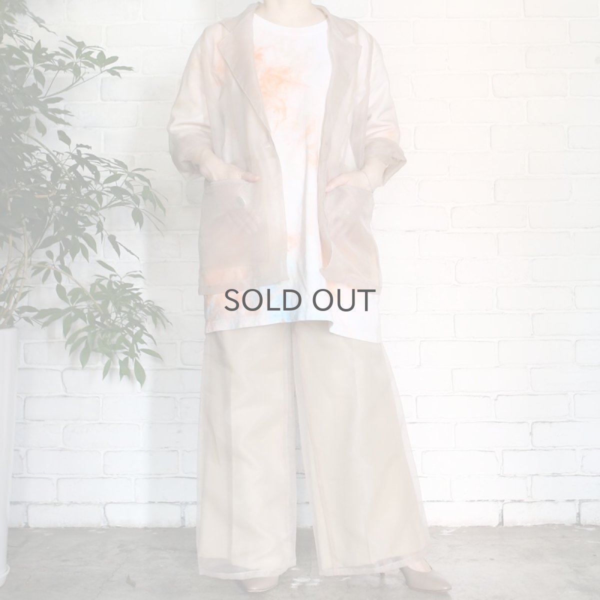 画像6: 【Wiz&Witch】SHEER SET-UP / PANTS / BEIGE (6)