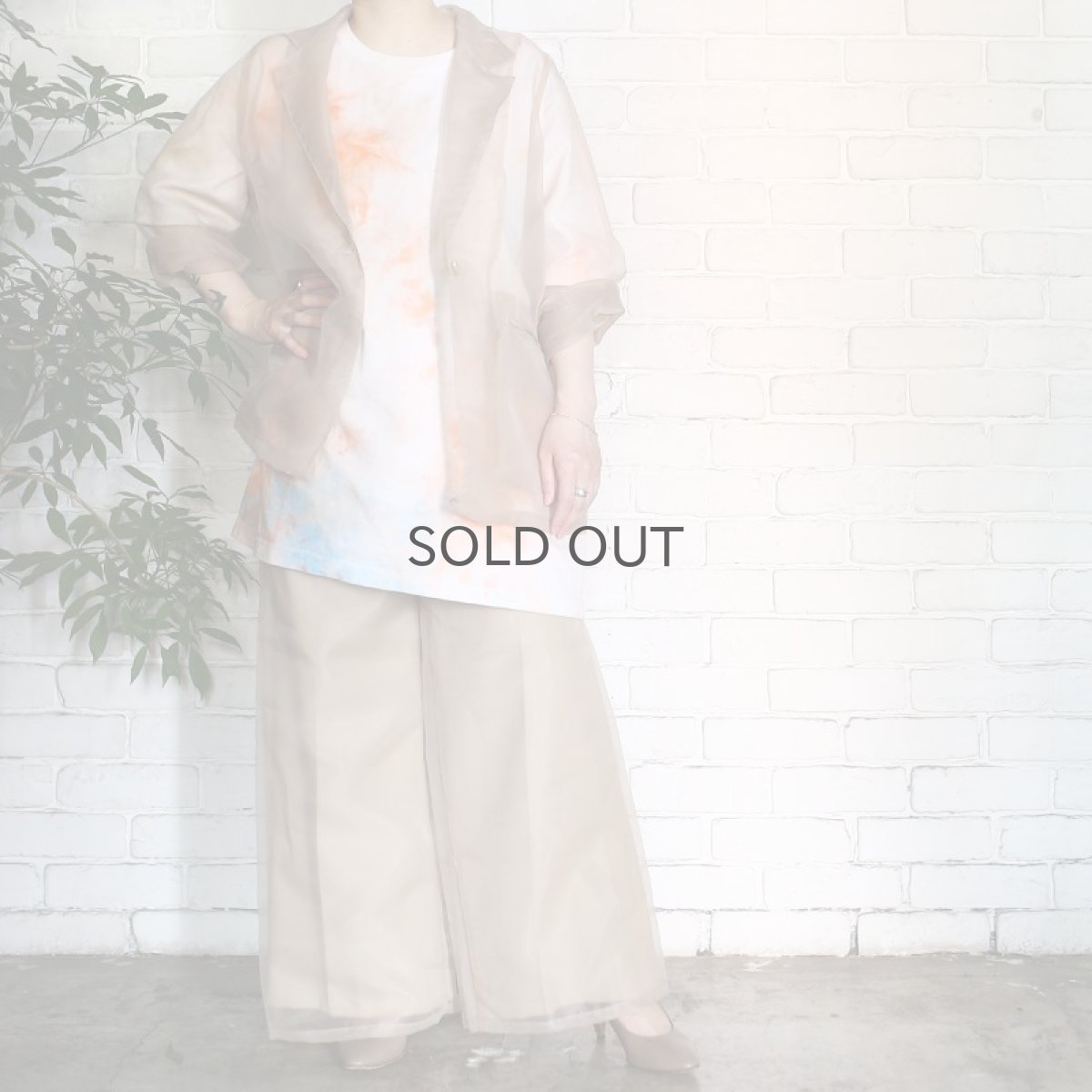 画像4: 【Wiz&Witch】SHEER SET-UP / PANTS / BEIGE (4)