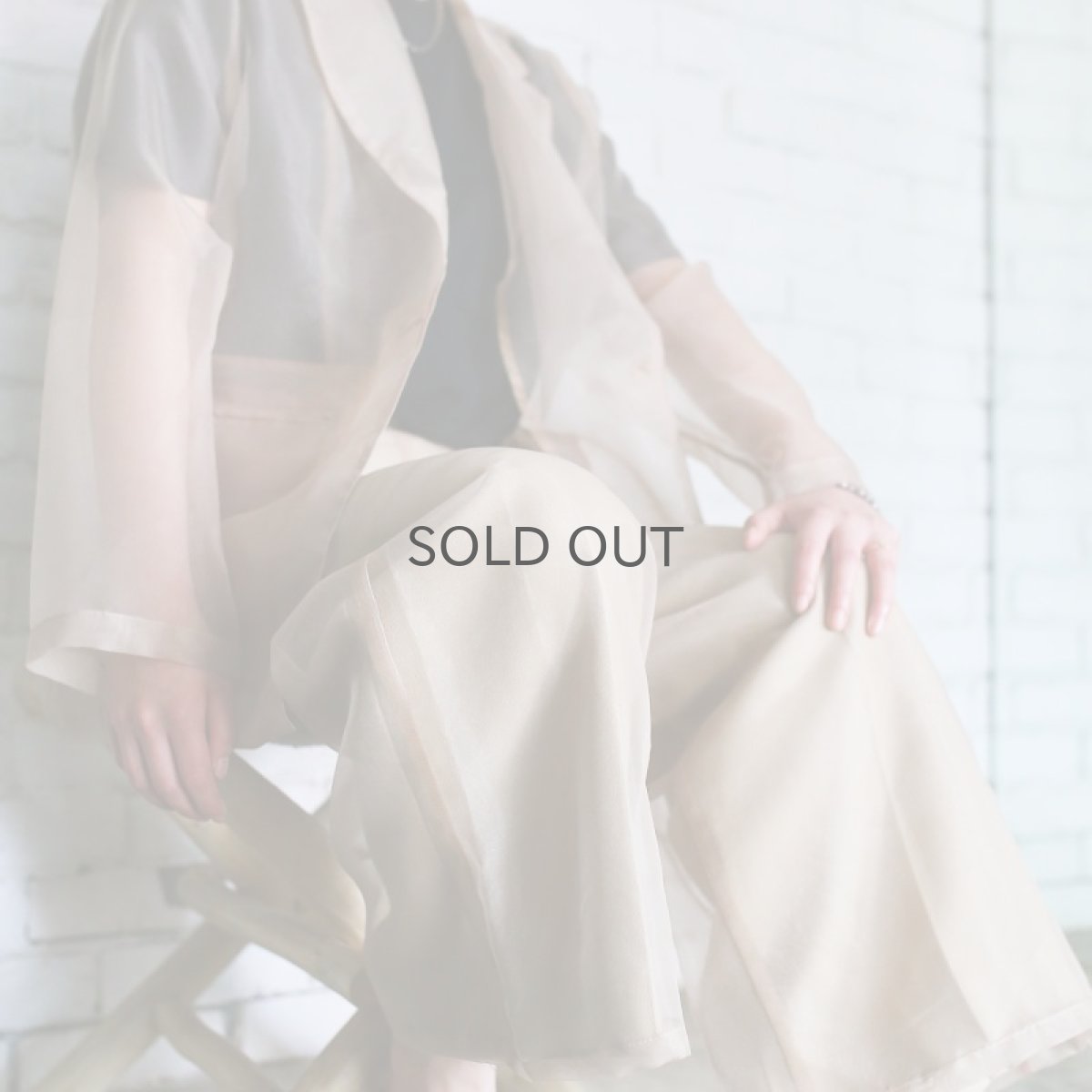 画像9: 【Wiz&Witch】SHEER SET-UP / PANTS / BEIGE (9)