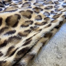 画像8: 【Wiz&Witch】"1950" LEOPARD BACK SLIT LONG SKIRT / FREE (8)