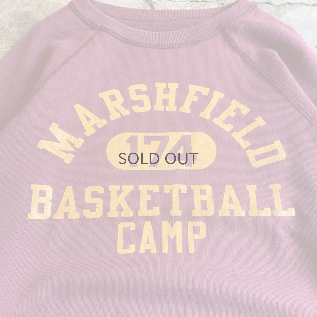 画像5: 【CHAMPION】COLOR PRINTED COLLEGE L/S SWEAT / Ladies M (5)