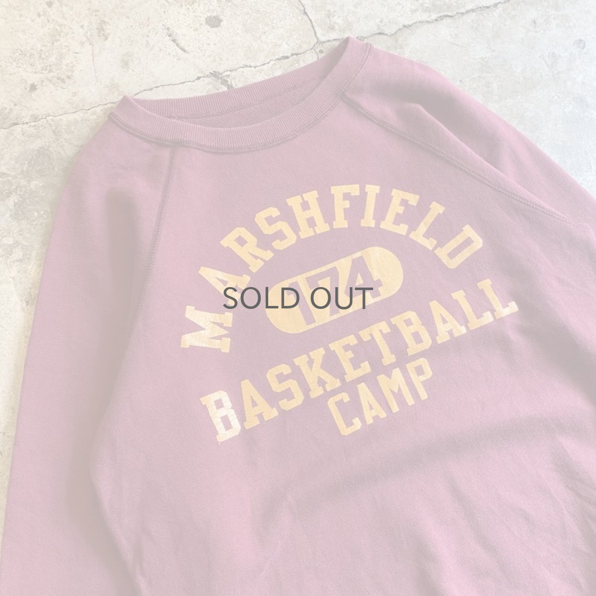 画像3: 【CHAMPION】COLOR PRINTED COLLEGE L/S SWEAT / Ladies M (3)