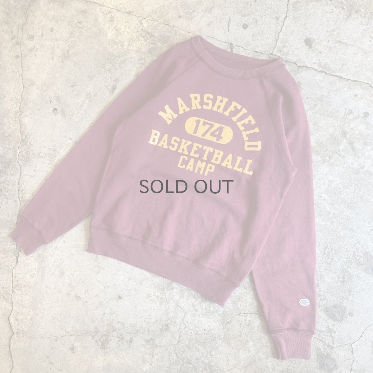 画像4: 【CHAMPION】COLOR PRINTED COLLEGE L/S SWEAT / Ladies M (4)