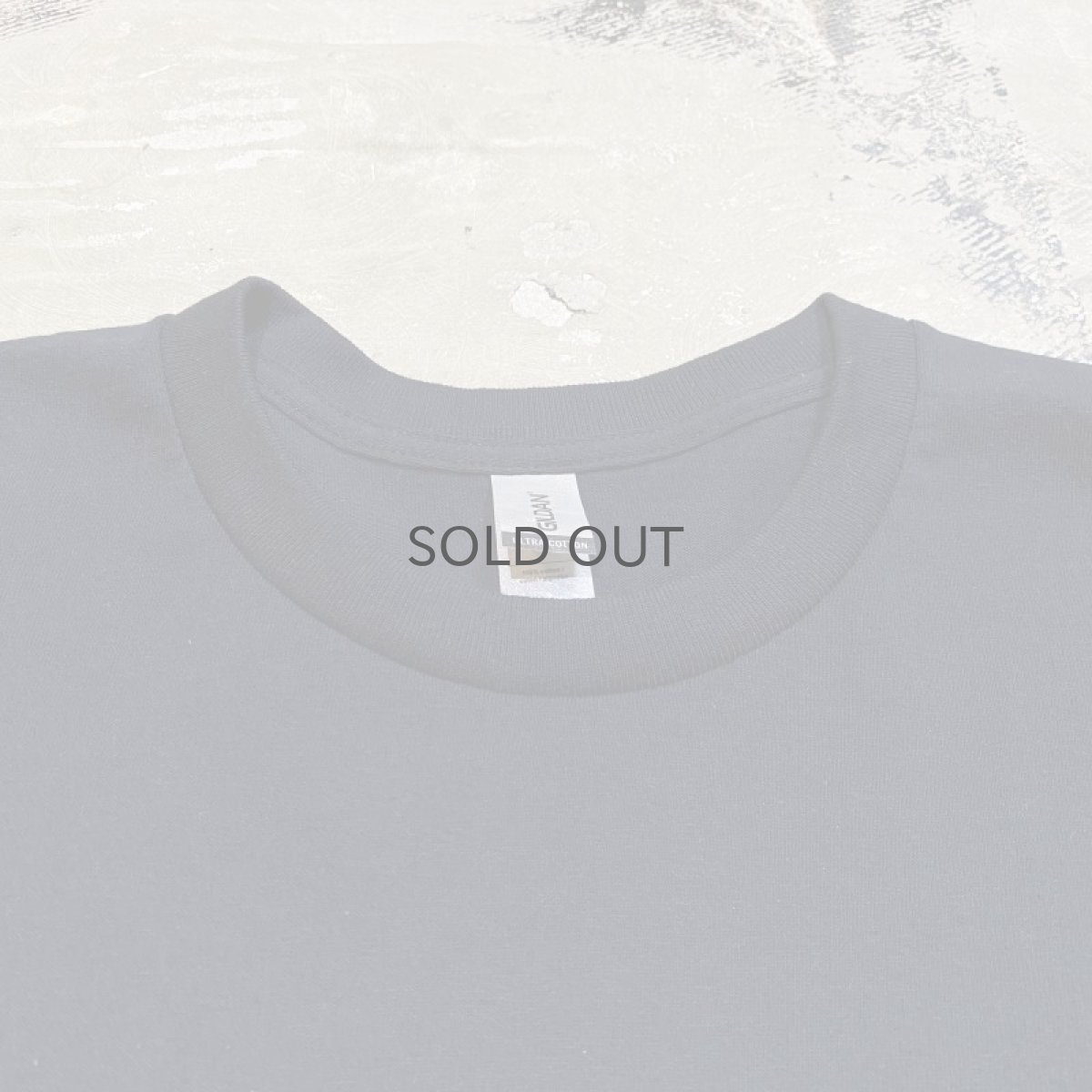 画像10: 【JESUS AND JOHN】LADY BUGLADY BUG POCKET S/S T-SHIRTS / XL (10)