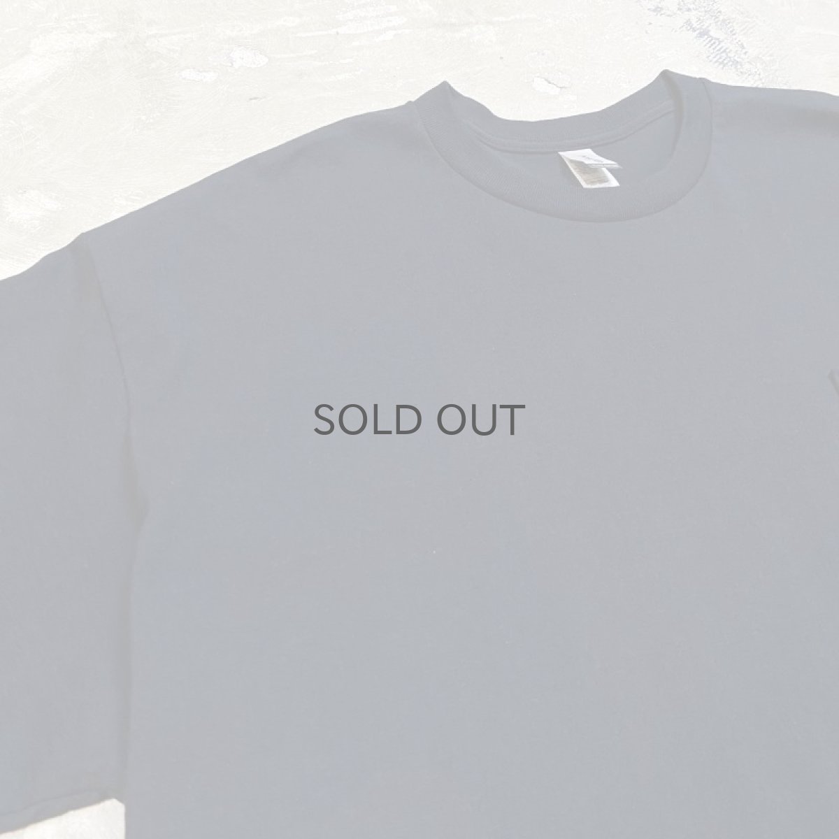 画像3: 【JESUS AND JOHN】LADY BUGLADY BUG POCKET S/S T-SHIRTS / XL (3)