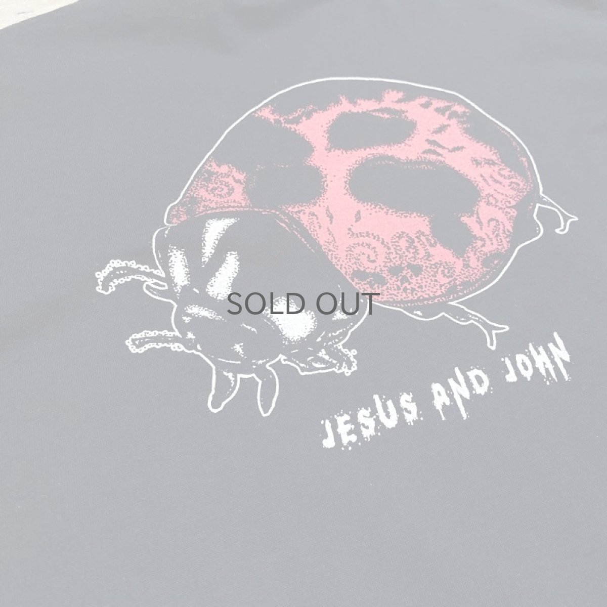 画像9: 【JESUS AND JOHN】LADY BUGLADY BUG POCKET S/S T-SHIRTS / XL (9)
