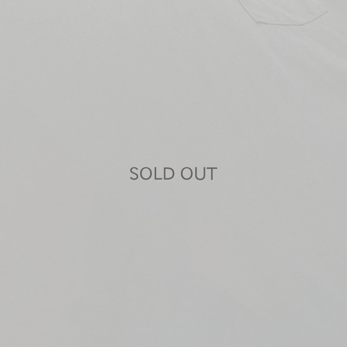 画像5: 【JESUS AND JOHN】LADY BUGLADY BUG POCKET S/S T-SHIRTS / XL (5)