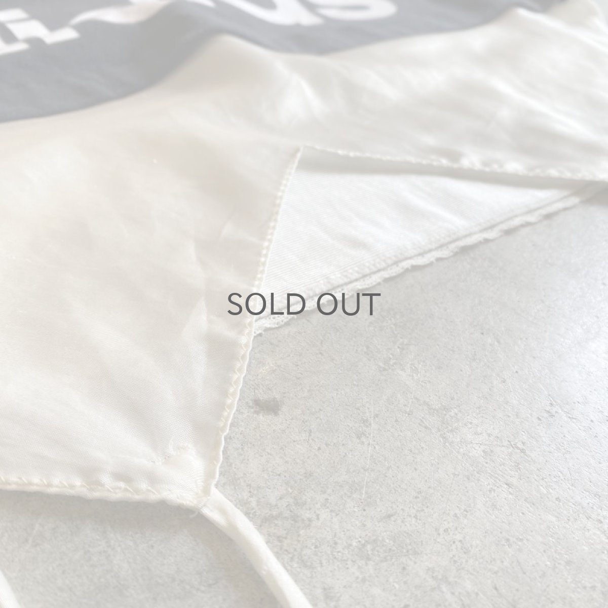 画像10: 【Wiz&Witch】"UNITED" SPORTY LINGERIE TOPS / OS (10)