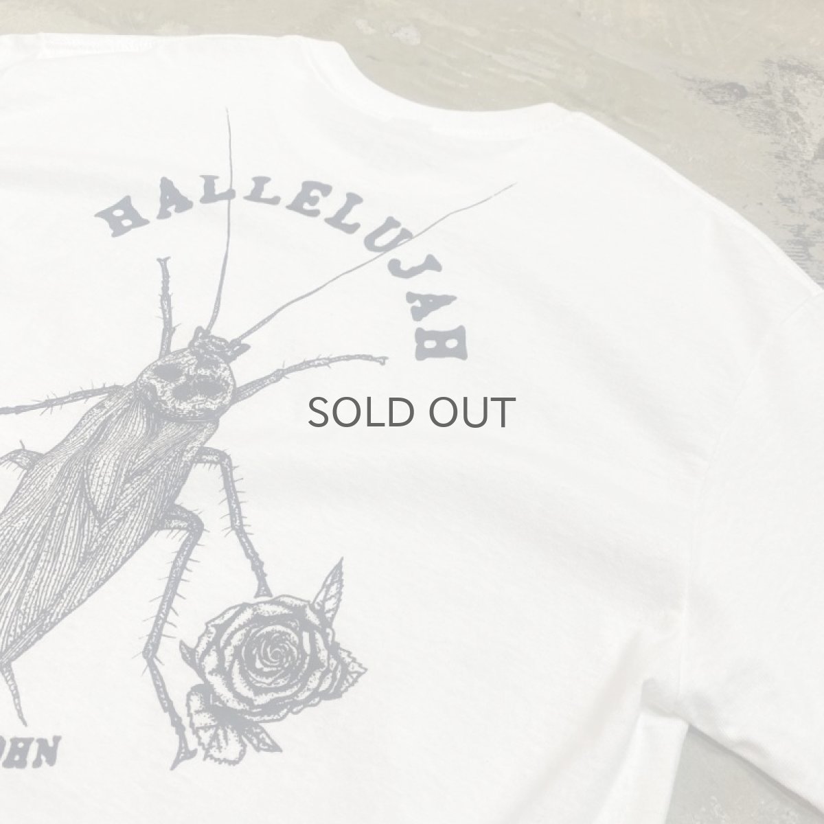 画像8: 【JESUS AND JOHN】"DEATH COCKROACH" S/S TEE / L&XL (8)