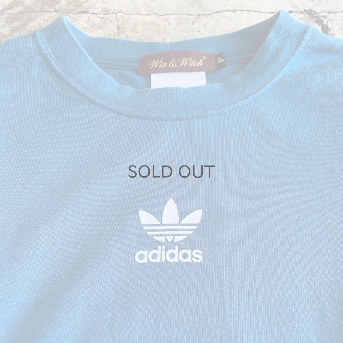 画像5: 【Wiz&Witch】"UNITED" LINGERIE MIX TOPS / OS (5)