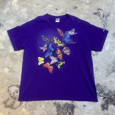 画像1: BUTTERFLY PRINTED PURPLE COLOR S/S TEE / Mens XL (1)