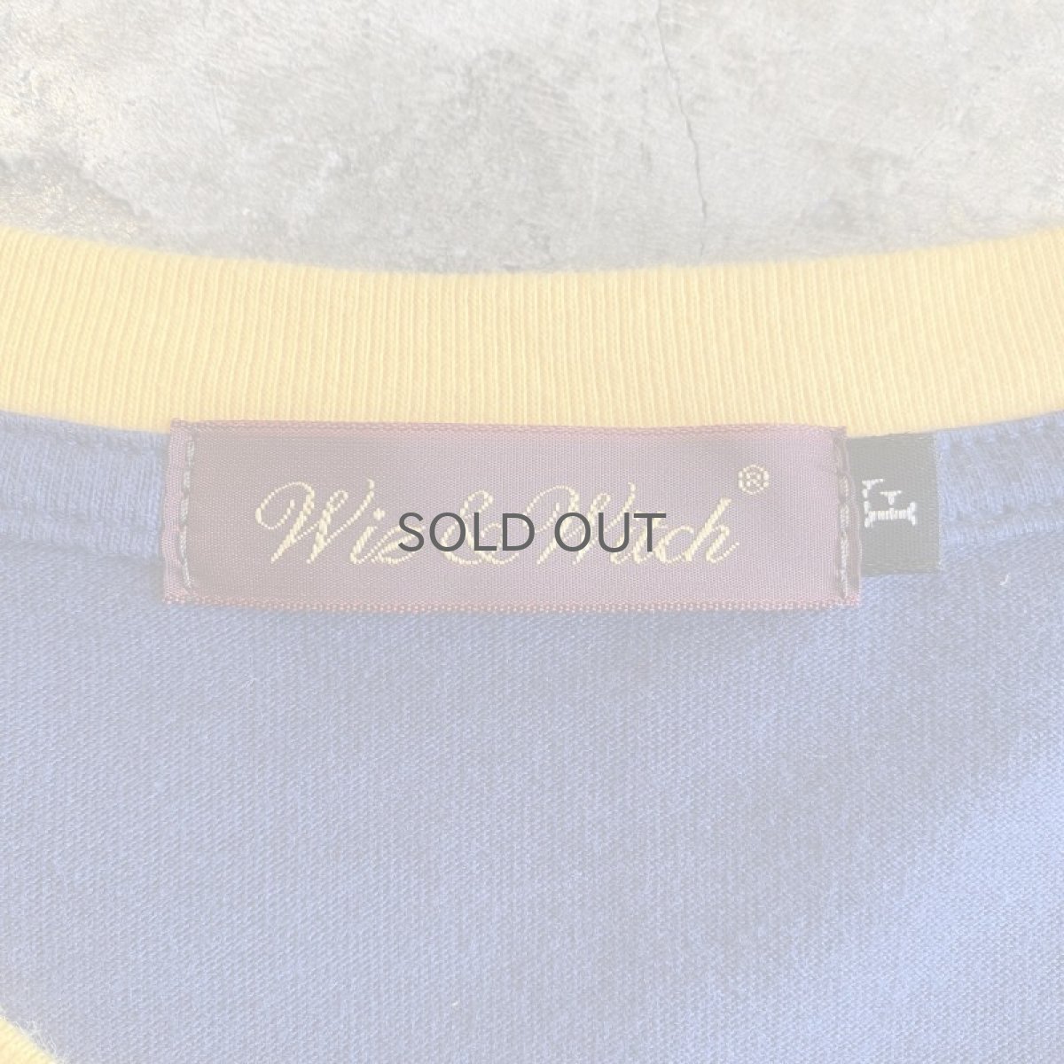 画像11: 【Wiz&Witch】"UNITED" LINGERIE MIX TOPS / OS (11)