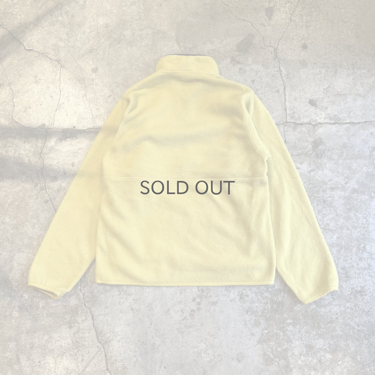 画像2: 【PATAGONIA】COLOR FLEECE HALF ZIP ANORAK TOPS / Ladies M (2)