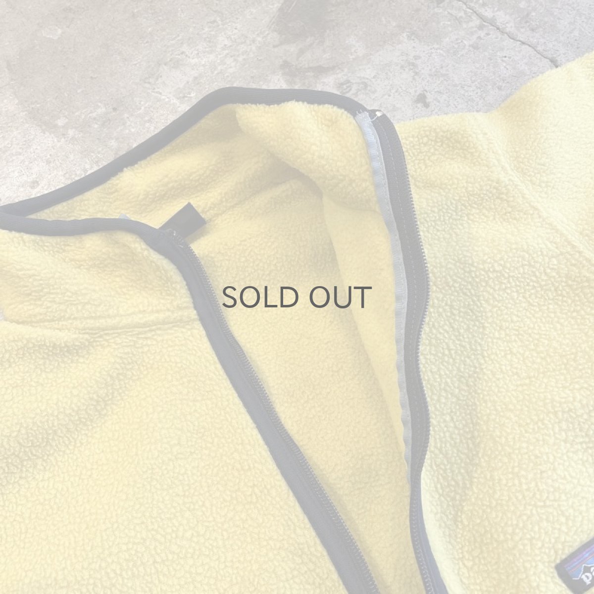 画像11: 【PATAGONIA】COLOR FLEECE HALF ZIP ANORAK TOPS / Ladies M (11)