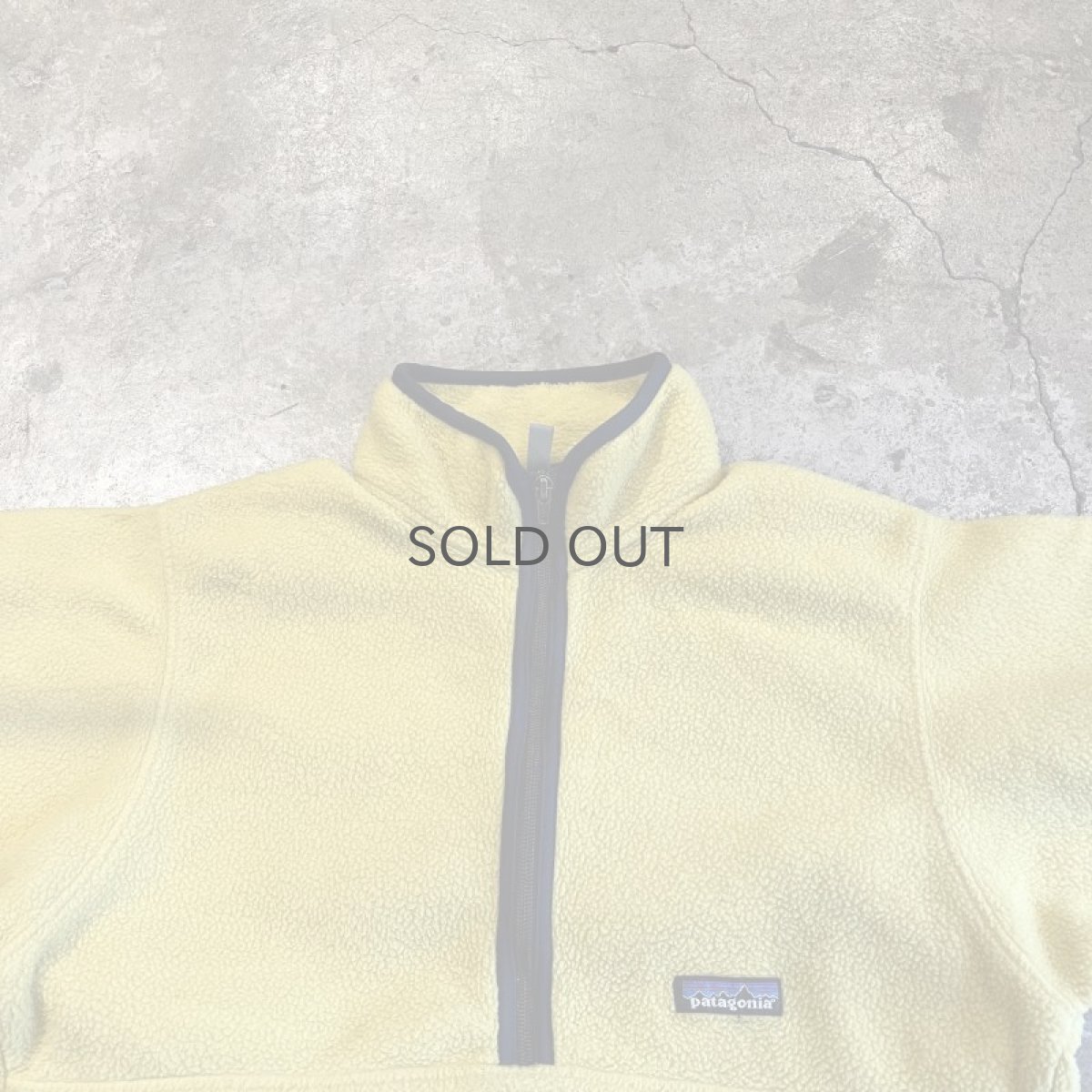 画像9: 【PATAGONIA】COLOR FLEECE HALF ZIP ANORAK TOPS / Ladies M (9)