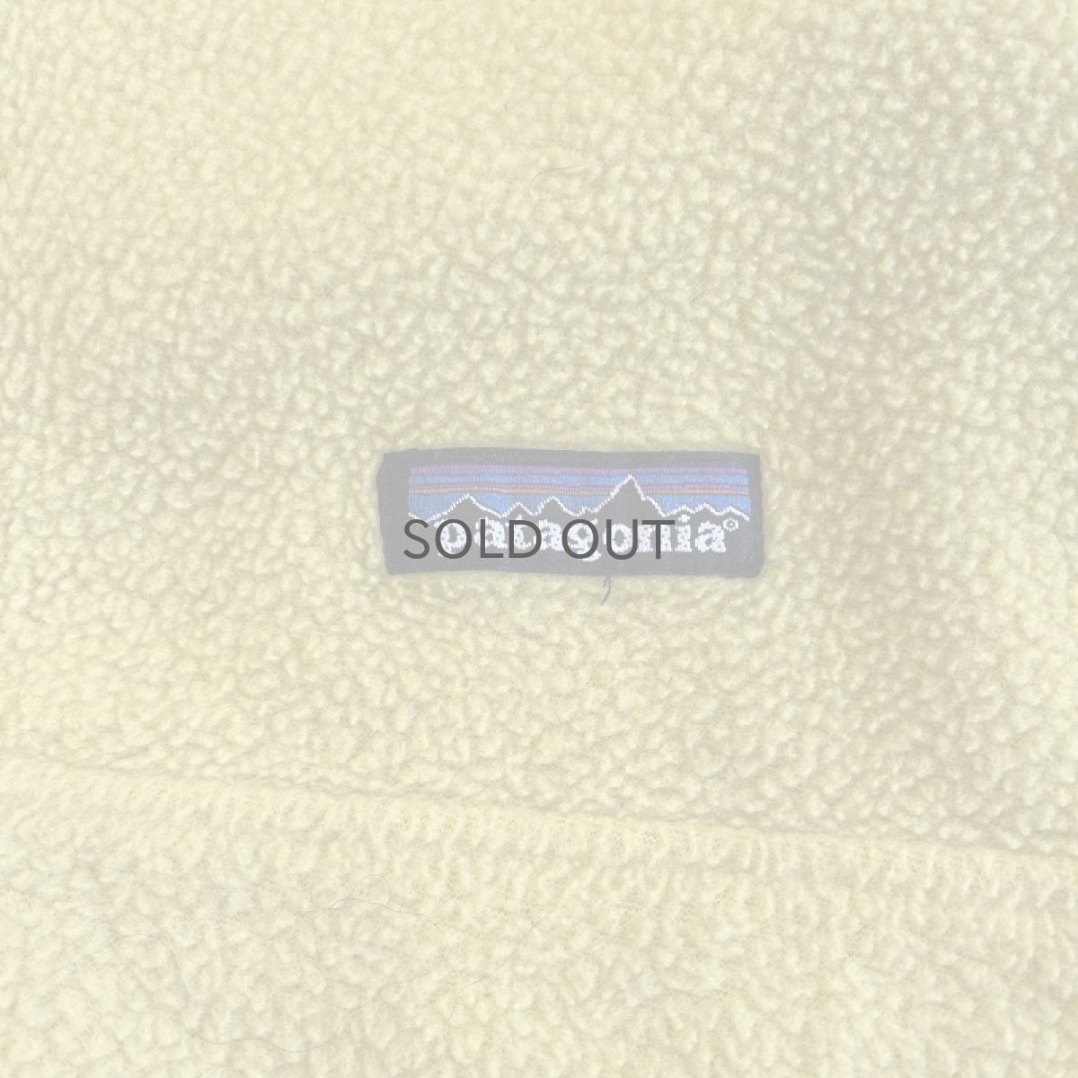 画像12: 【PATAGONIA】COLOR FLEECE HALF ZIP ANORAK TOPS / Ladies M (12)