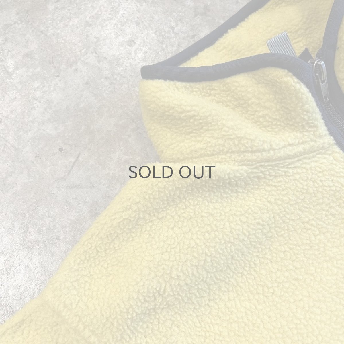 画像10: 【PATAGONIA】COLOR FLEECE HALF ZIP ANORAK TOPS / Ladies M (10)