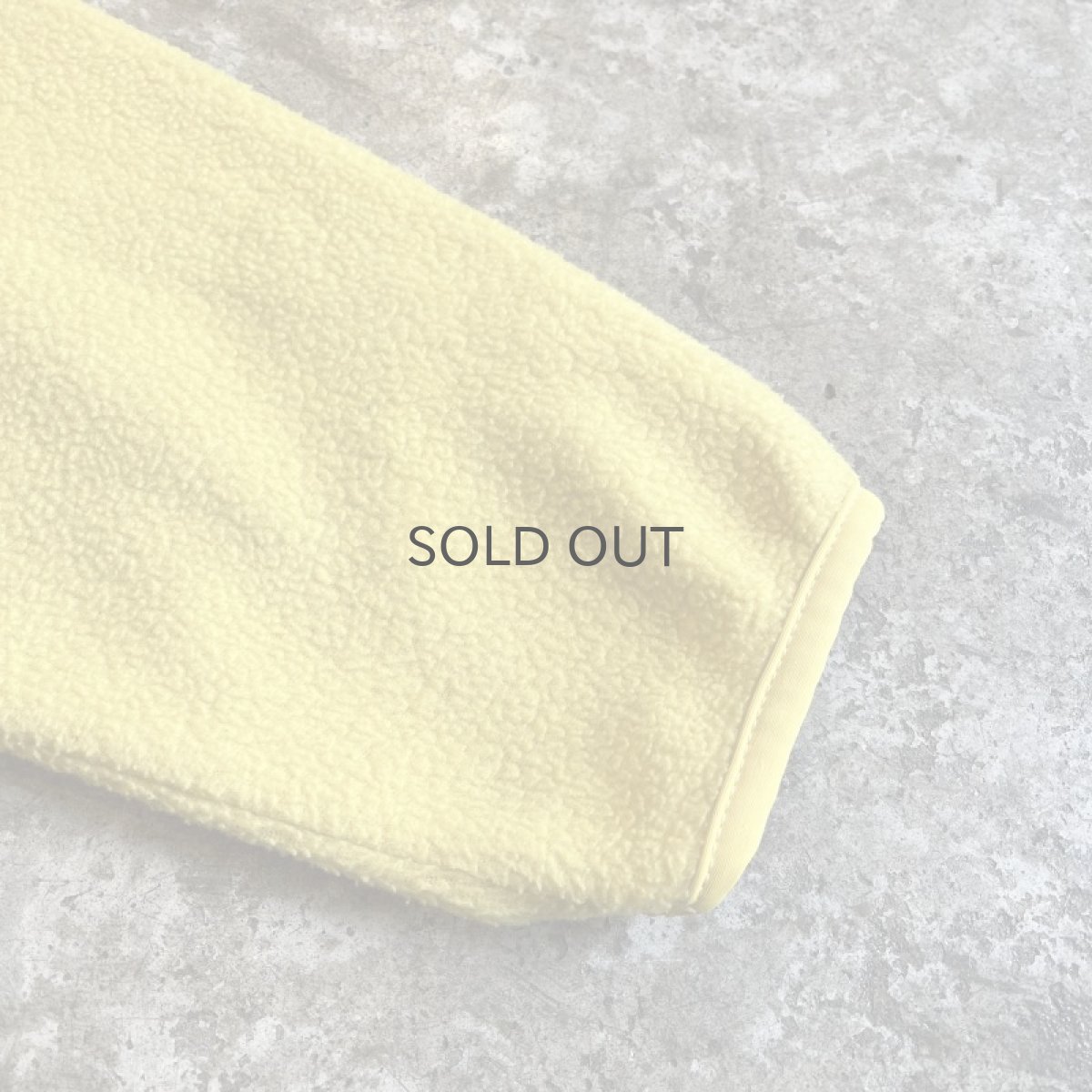 画像7: 【PATAGONIA】COLOR FLEECE HALF ZIP ANORAK TOPS / Ladies M (7)