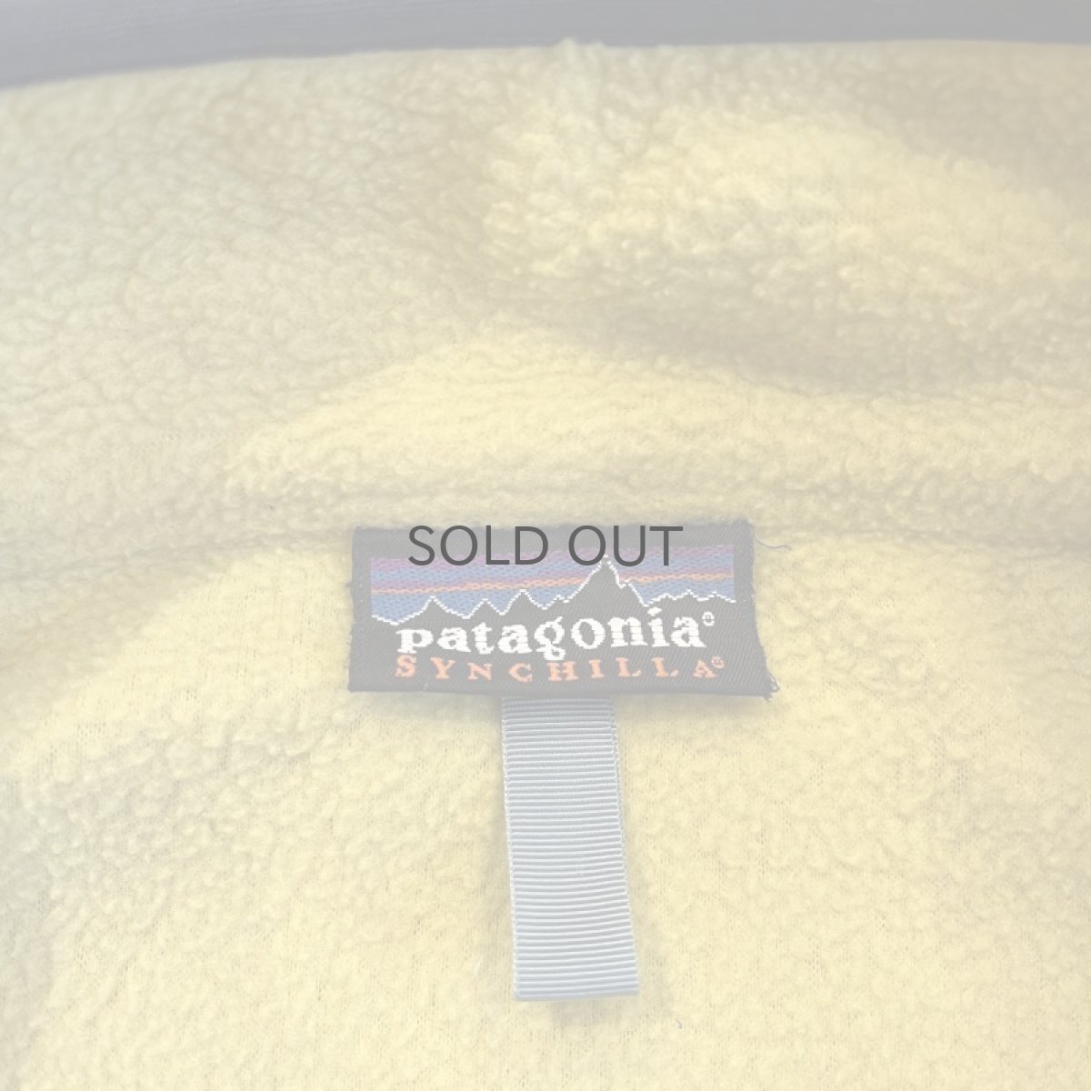 画像13: 【PATAGONIA】COLOR FLEECE HALF ZIP ANORAK TOPS / Ladies M (13)