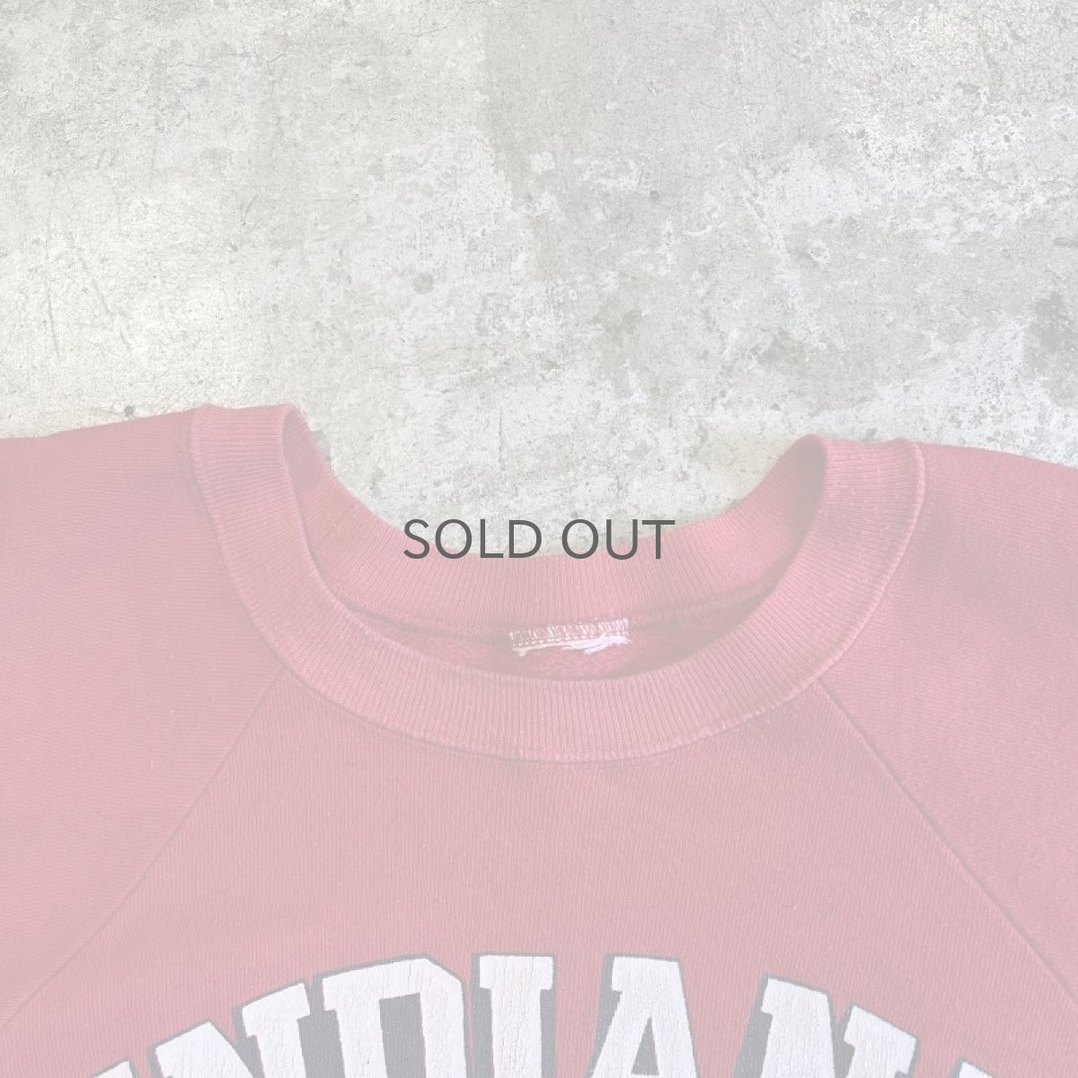 画像8: FRONT PRINTED DESIGN COLOR L/S SWEAT / Ladies M (8)