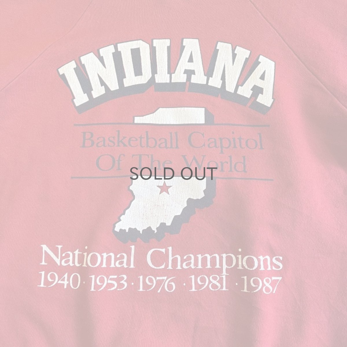 画像9: FRONT PRINTED DESIGN COLOR L/S SWEAT / Ladies M (9)