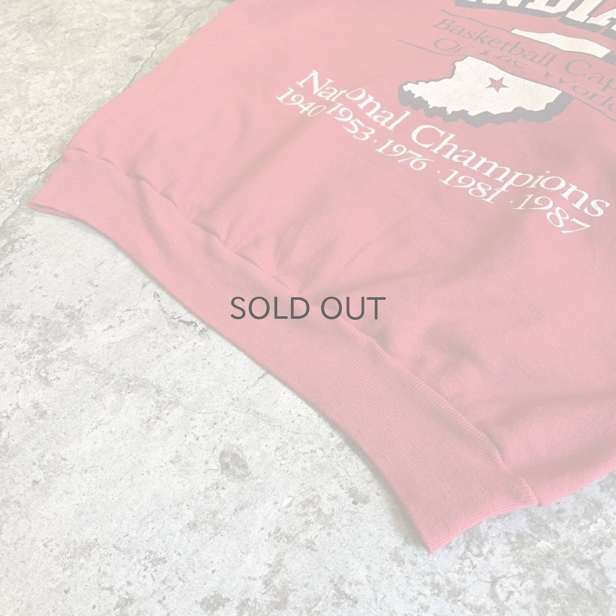 画像4: FRONT PRINTED DESIGN COLOR L/S SWEAT / Ladies M (4)