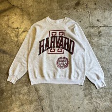 画像1: FRONT COLOR LOGO PRINTED COLLEGE L/S SWEAT / Ladies L (1)