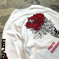 画像8: 【JESUS AND JOHN】"BOUQUET" L/S T-SHIRTS / M&L&XL (8)