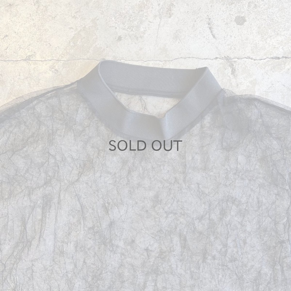 画像7: ALL OVER SHAGGY PATTERN DESIGN TULLE S/S TOPS / Ladies L　 (7)