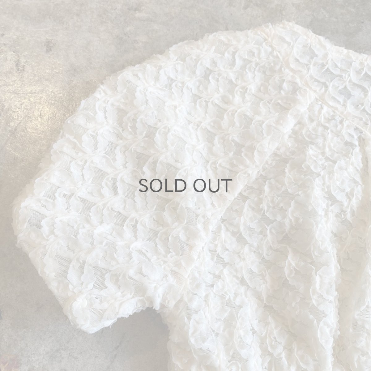 画像11: TULLE SHEER DESIGN FRILL S/S BOLERO / Ladies M (11)