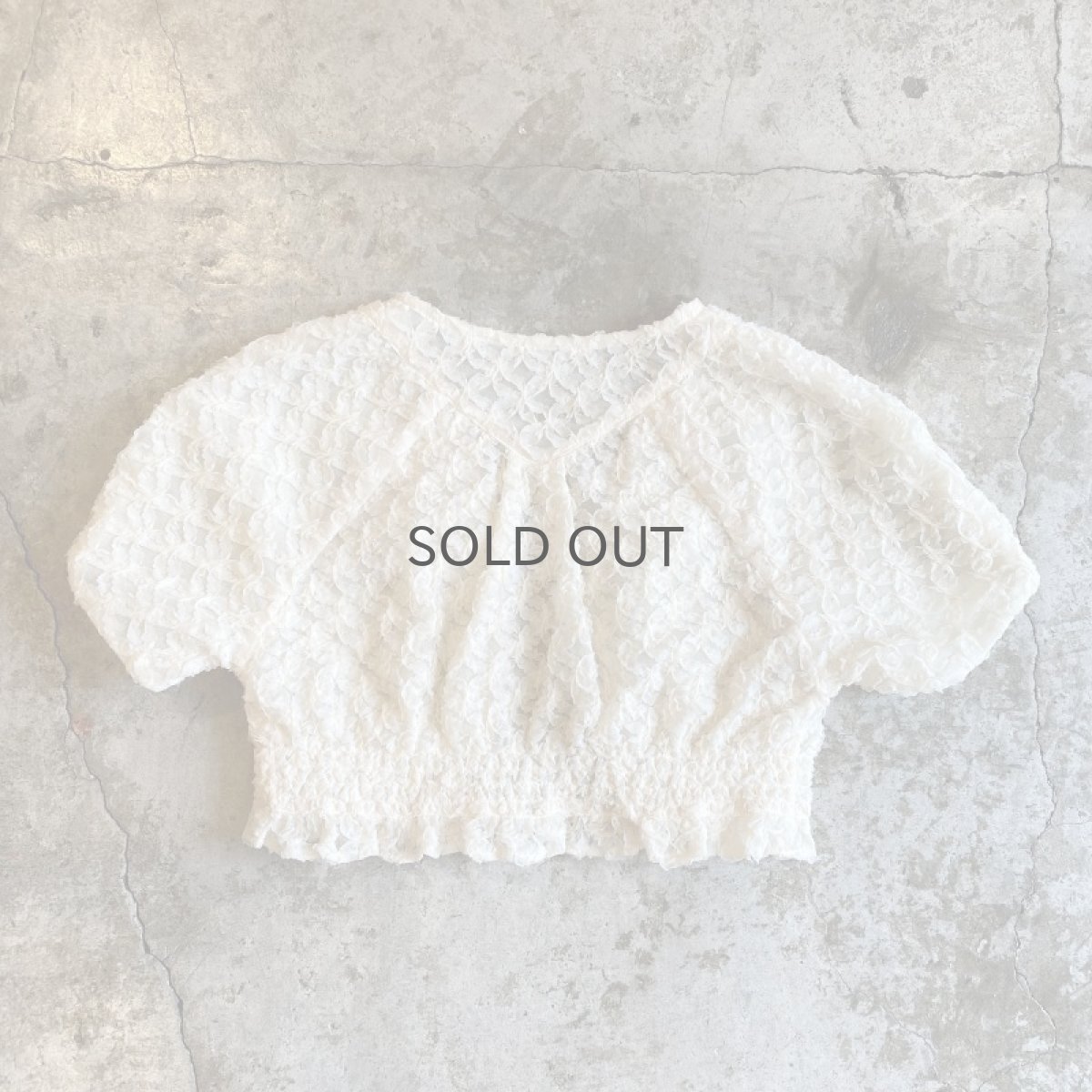 画像2: TULLE SHEER DESIGN FRILL S/S BOLERO / Ladies M (2)