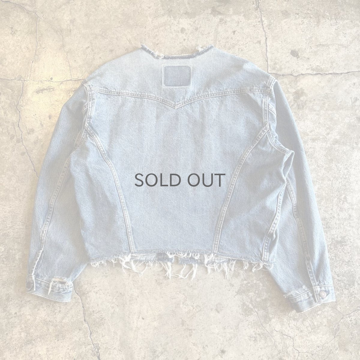 画像2: 【Wiz&Witch】"WANDERER" NO COLLAR ZIP UP DENIM JACKET / OS (2)