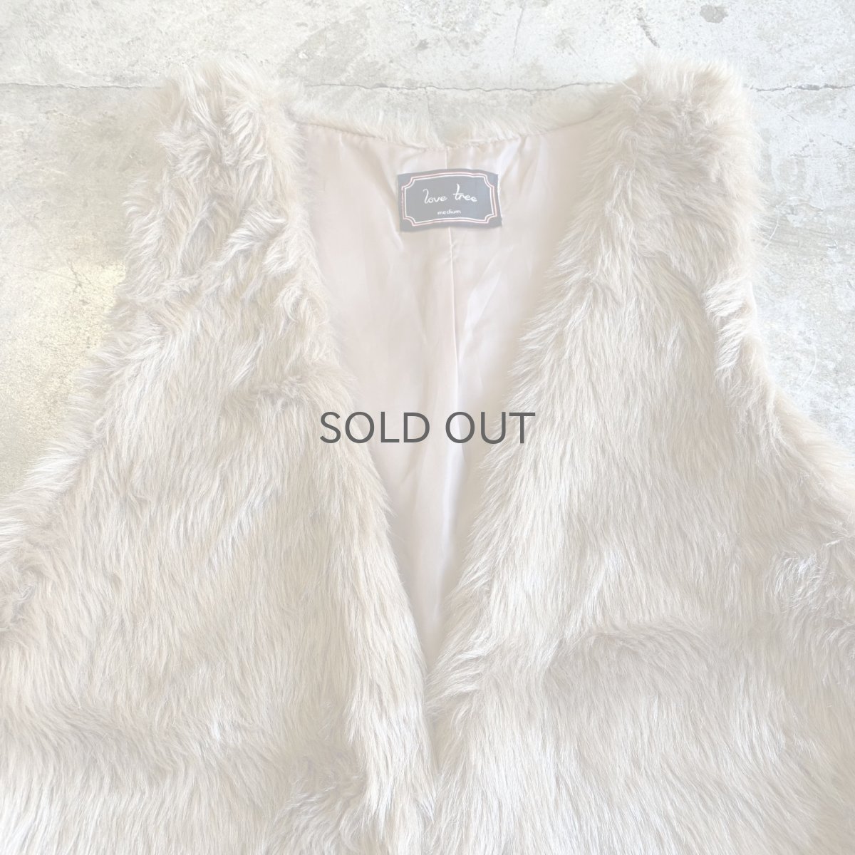 画像4: BEIGE COLOR FAUX FUR DESIGN VEST / Ladies M (4)