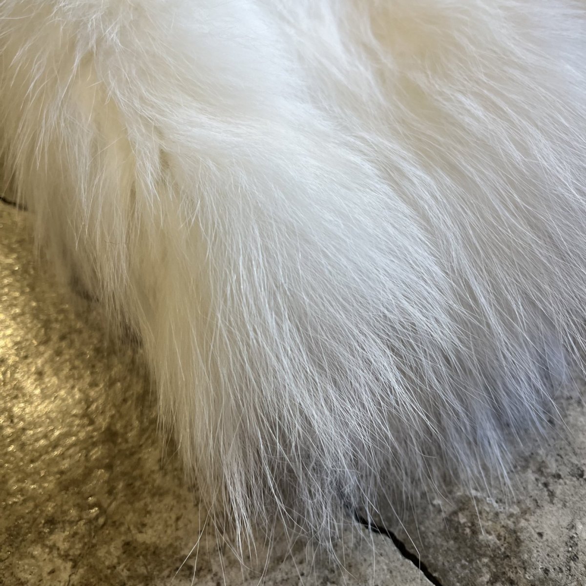 画像3: WHITE COLOR REAL SELP FOX FUR DESIGN VEST / Ladies M (3)