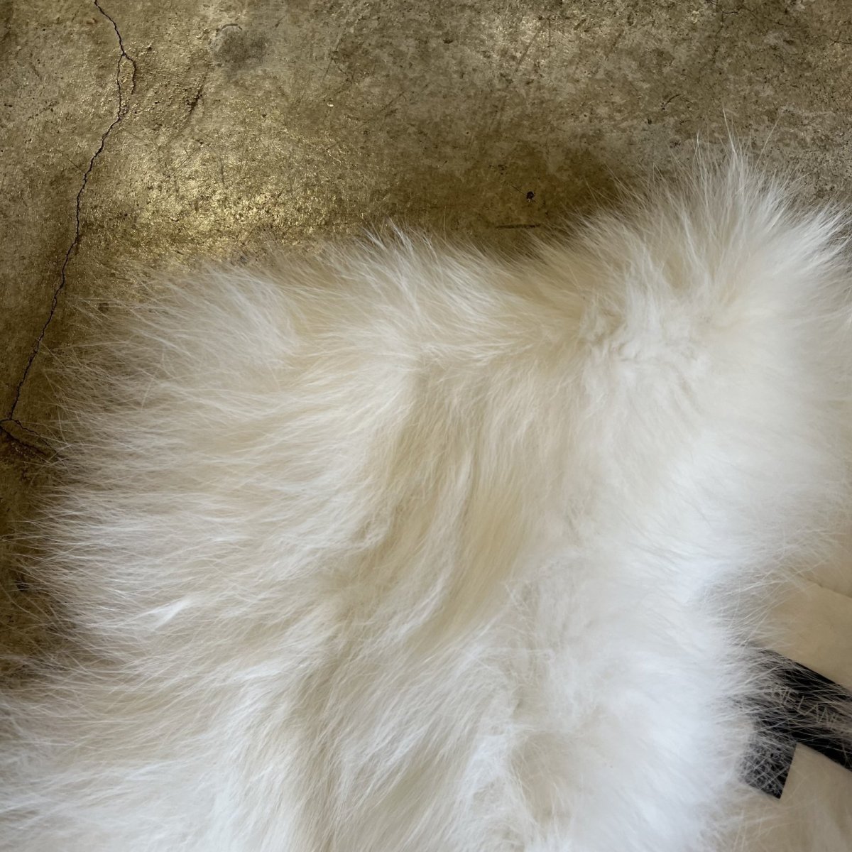 画像8: WHITE COLOR REAL SELP FOX FUR DESIGN VEST / Ladies M (8)