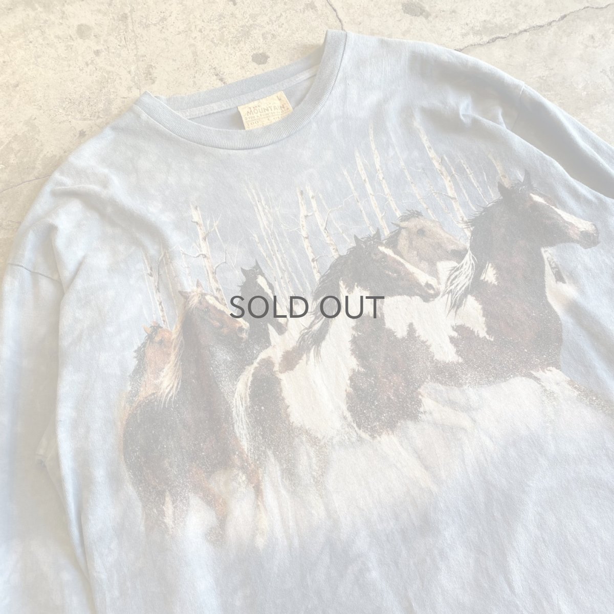 画像3: HORSE FRONT PRINT ART DESIGN L/S TEE / Ladies L (3)