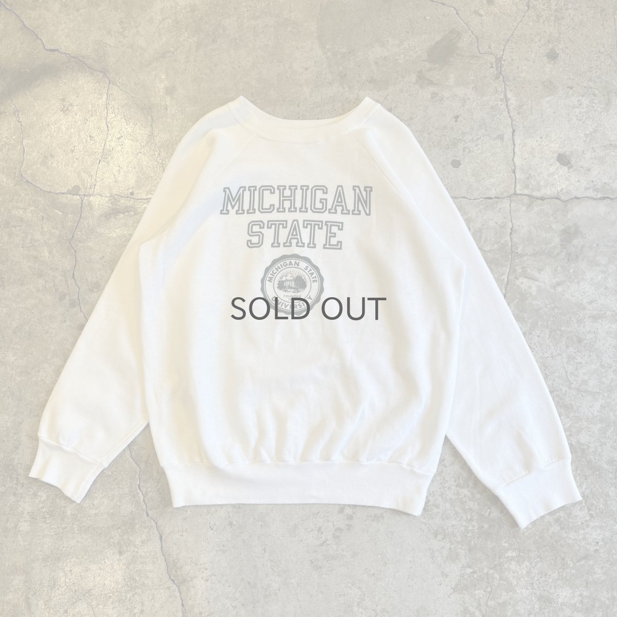 画像1: 80's【CHAMPION】FRONT PRINTED DESIGN COLLEGE L/S SWEAT / Ladies M(L) / MADE IN USA (1)