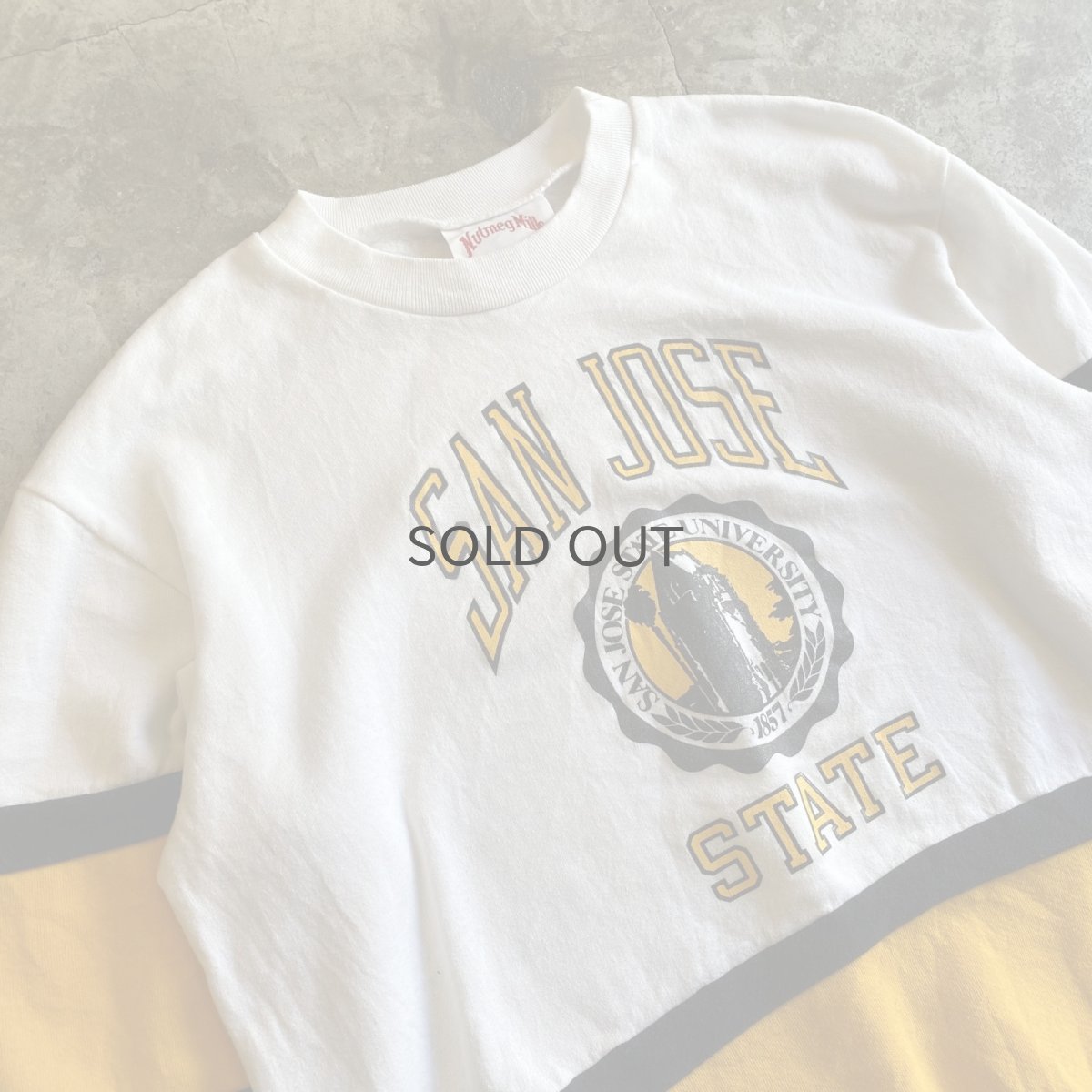 画像3: UNIVERSITY PRINTED POINT COLOR L/S SWEAT / Ladies M / MADE IN USA (3)