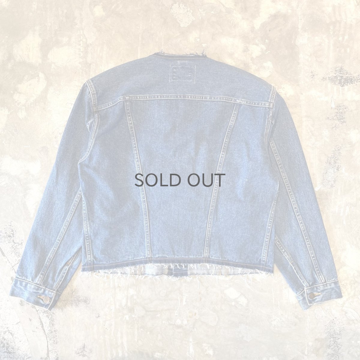 画像3: 【Wiz&Witch】"WANDERER" NO COLLAR ZIP UP DENIM JACKET / OS (3)