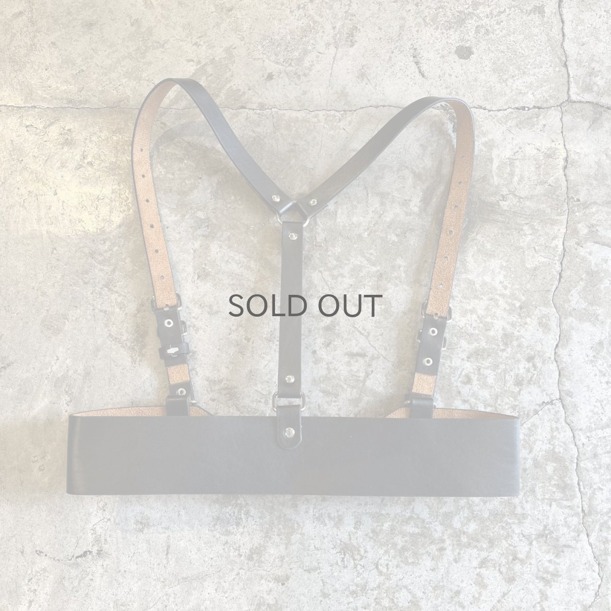 画像2: BLACK COLOR LEATHER DESIGN HARNESS / Ladies S~M (2)