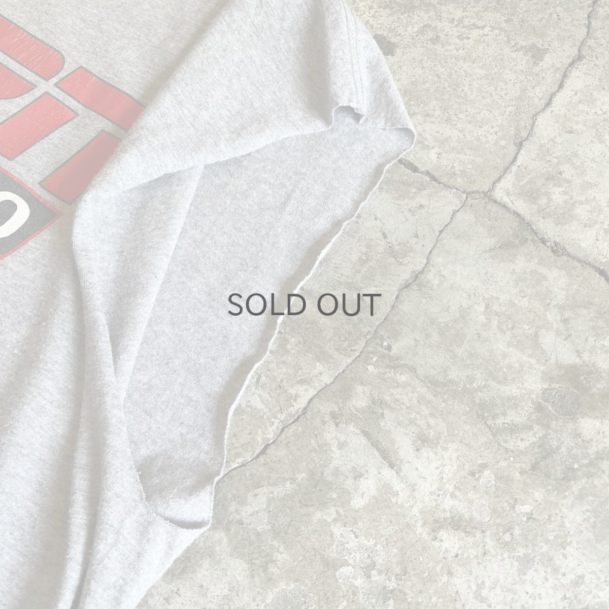 画像10: FRONT COLOR LOGO PRINTED DESIGN N/S TOPS / Ladies L(XL) (10)