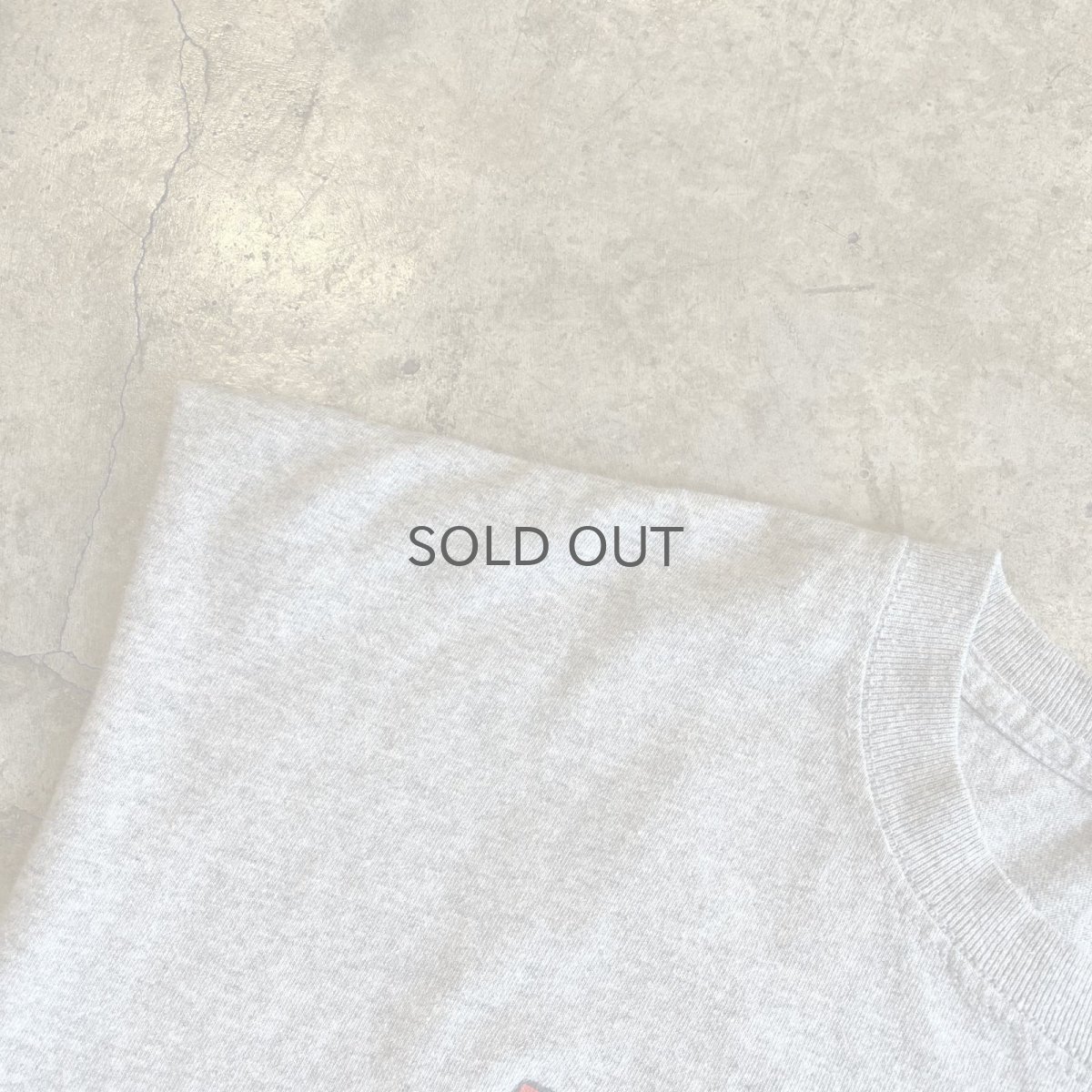 画像7: FRONT COLOR LOGO PRINTED DESIGN N/S TOPS / Ladies L(XL) (7)